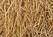 Thunder Acres 4 Pounds 100 Percent Natural Wheat Straw (4 lbs.) primary