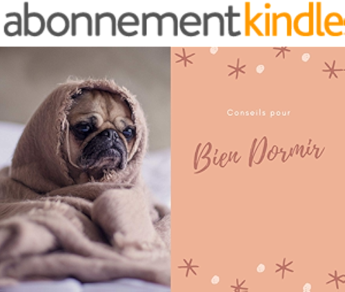 Download Bien dormir PDF