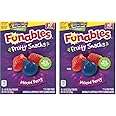 Funables Fruit Snacks, Mixed Berry, 10 Count (Pack of 2)