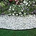 Dimex EasyFlex No-Dig Tree Ring Kit, 12-Feet 4-Inch