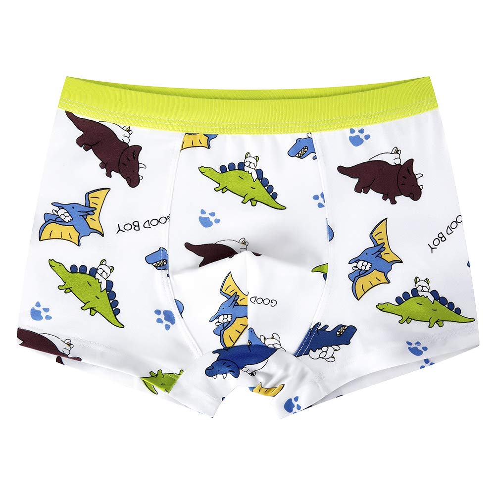 slaixiu Soft Cotton Kids Boxer Briefs Cartoon Boys Underwear Boxers 4-Pack (UW75-N3338-150)