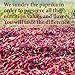The Spice Way - 100% Pure Paprika - Freshly Grown on our Farm, Hand-Picked and sun-Dried , no agents, non GMO, no perservatives, no additives - just pure paprika 2 oz
