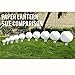 Just Artifacts 12-Inch Assorted Chinese Paper Lanterns (8pcs)