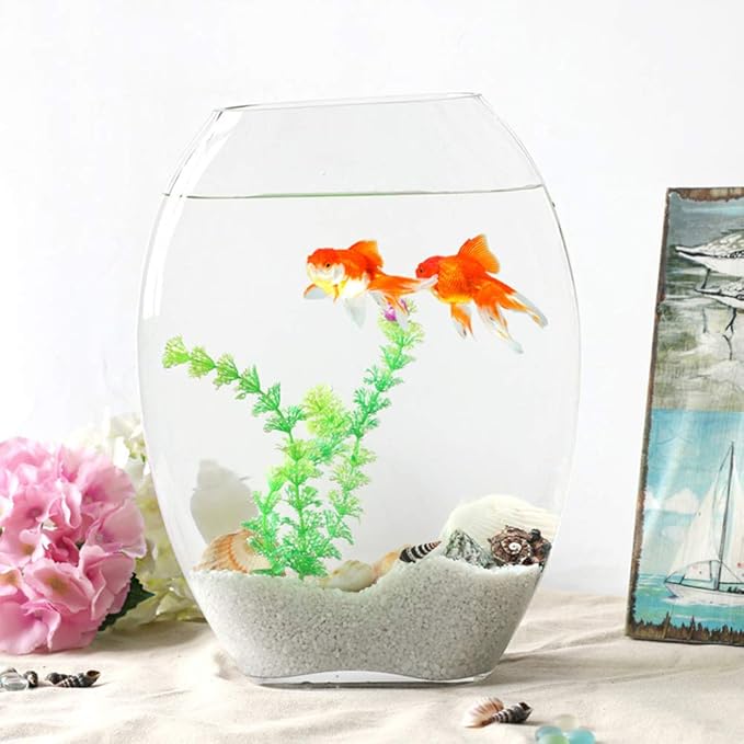 Amazon Co Jp おしゃれなワンピースのガラス水槽 長方形の平らな水槽 透明な生態学的水耕金魚水槽 Transparent ホーム キッチン