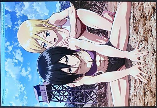 Amazon Co Jp 進撃の巨人 ピンナップポスター ミカサ アッカーマン クリスタ レンズ ヒストリア レイス ホビー 通販