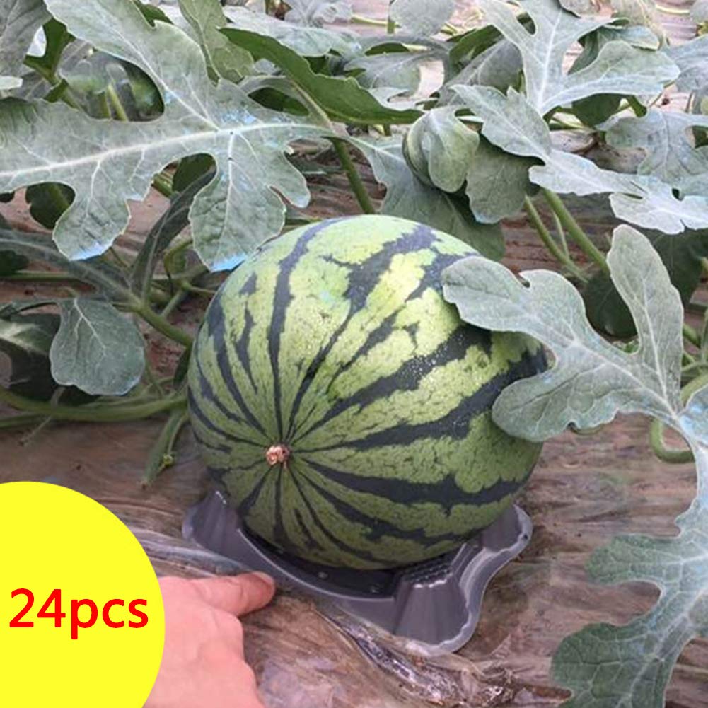 Yozhanhua Soporte de plástico para plantas de melón, 24 unidades ...