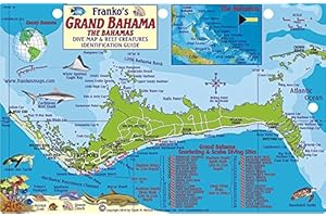 Grand Bahama Island Dive Map & Reef Creatures Guide Franko Maps Laminated Fish Card