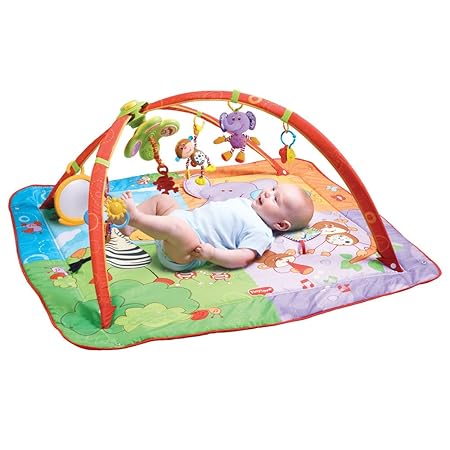 tiny love gymini move and play gym batteries