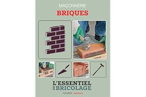 �Ѳ�ç�ǲԲԱ������ : Briques: L'essentiel du bricolage (French Edition)