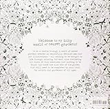 Image de Secret Garden: An Inky Treasure Hunt and Coloring Book