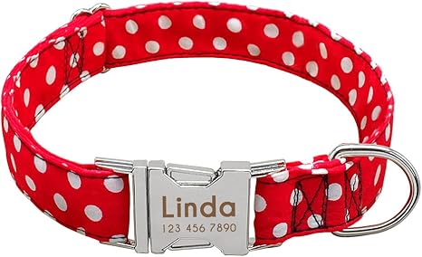 Didog - Collar de perro con grabado personalizable, nailon ...