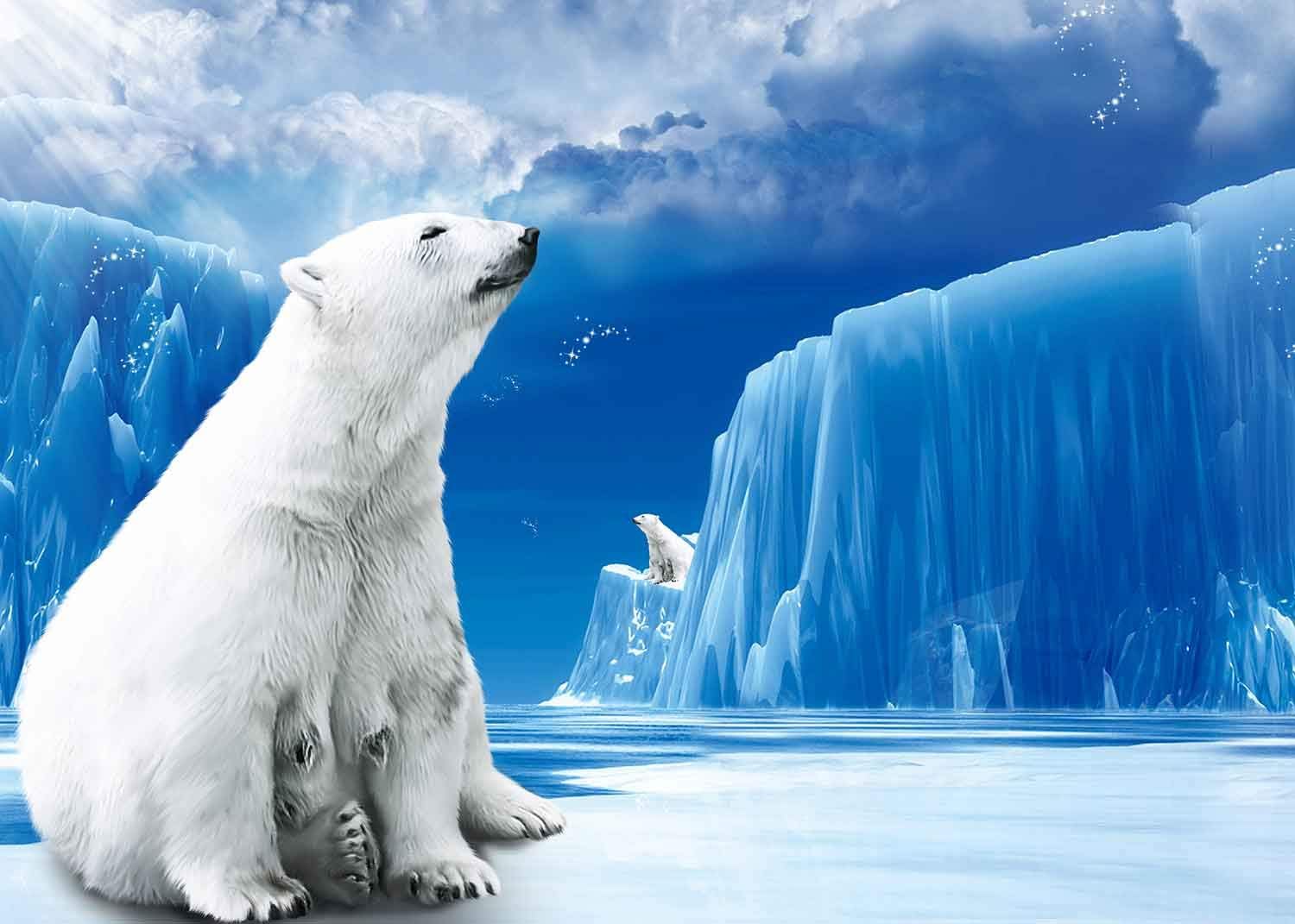 Amazon Com Polar Bear Frozen Backdrop For Photography North Pole