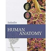 Human Anatomy