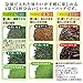Itoen - Premium Tea Bag Set 60 packs : Ryokucha (Sencha Green tea), Houjicha, Genmaicha per 20 bags