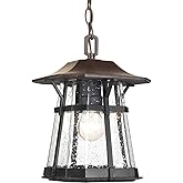 Progress Lighting Derby Collection 1-Light Clear Seeded Glass Craftsman Outdoor Hanging Lantern Light Espresso