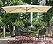 Abba Patio Rectangular Patio Umbrella Outdoor Market Table Umbrella with Push Button Tilt and Crank, 6.6 by 9.8 Ft, Beige