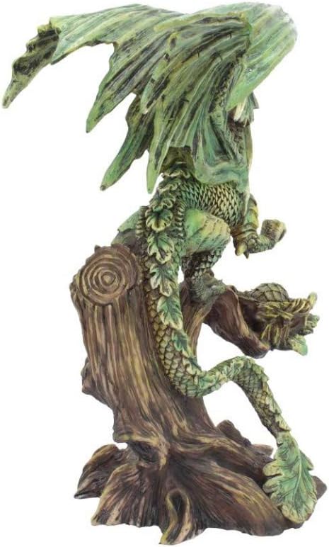 Nemesis Now Figurine Adulte Dragon Anne Stokes En Resine Vert Taille Unique 25 5 Cm Cuisine Maison Decoration De La Maison Schoolofbabywearing Com
