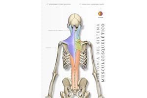 Anatomía del sistema músculoesquelético (Spanish Edition)