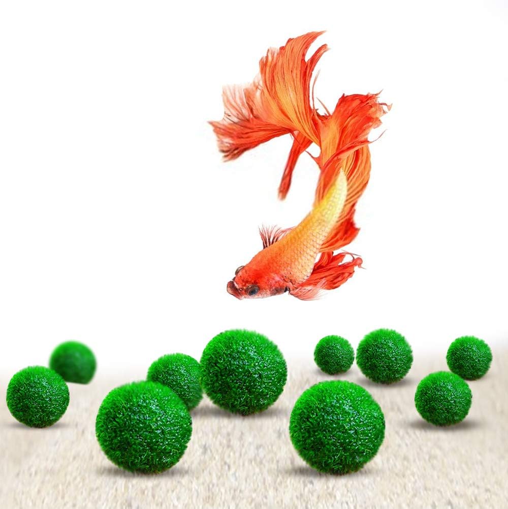 Luffy Nano Betta Balls, Aquarium Play Toy for Siamese Fighting Fish, Creates Aesthetically Appealing Backdrop, Round-Shaped Marimo Balls, Supports 5-20 Gallon Tanks, Low-Maintenance, 10 Pieces