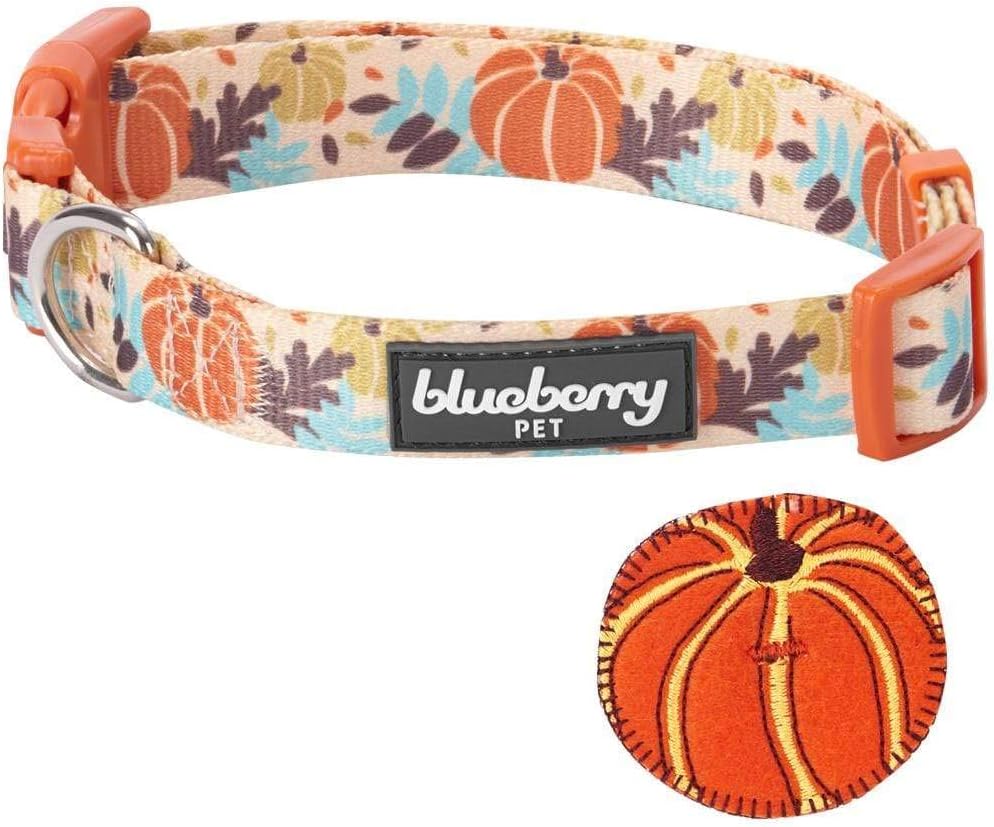 Blueberry Pet 8 Patterns Thanksgiving Fall Harvest Festival Pumpkin Designer Adjustable Dog Collar with Decoration, Large, Neck 18"-26" : Pet Supplies