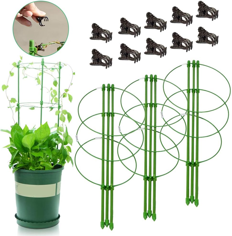 Plant Support Cages with 3 Rings Tomato Support Plant Cages Vine