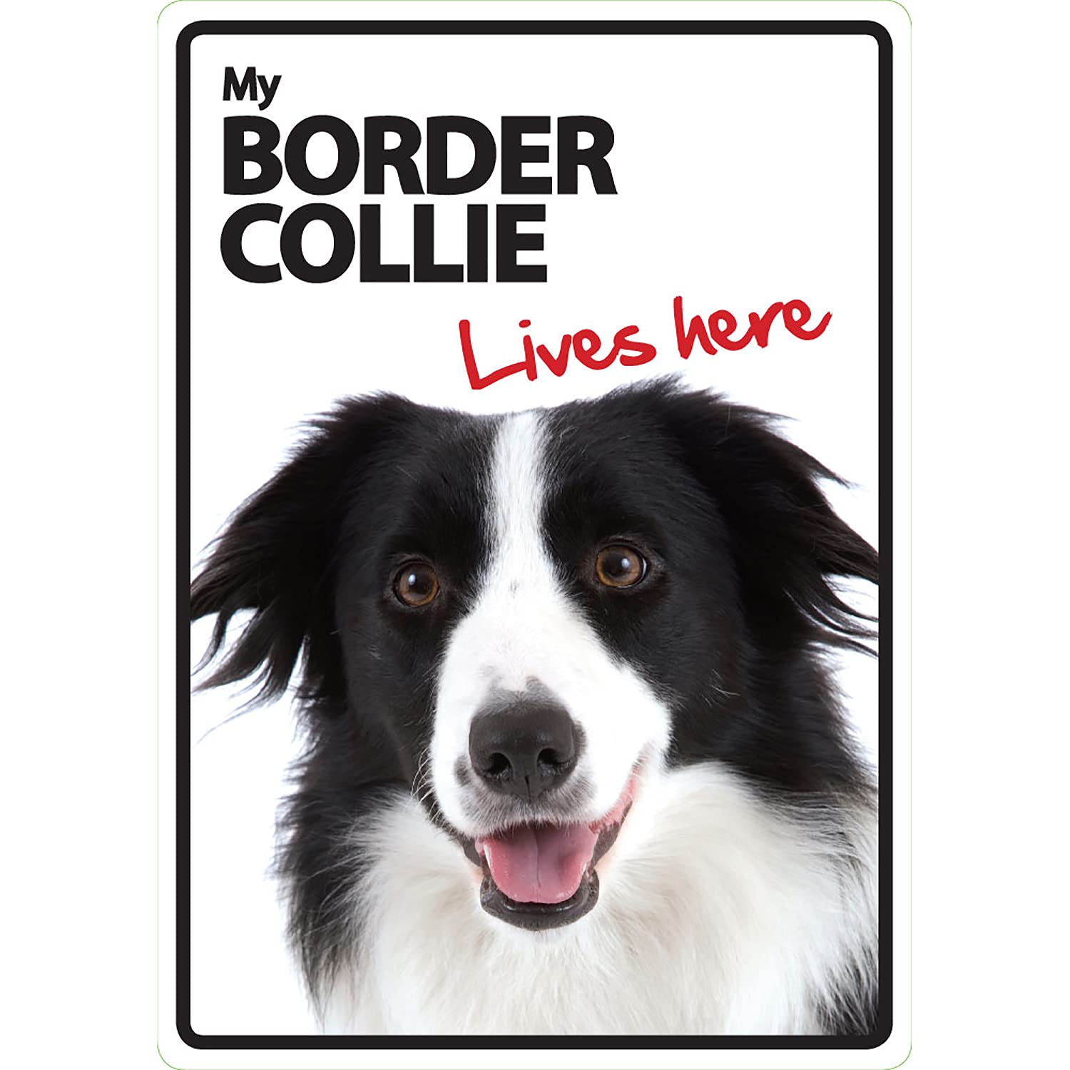 Border Collie Lives Here A5 Sign