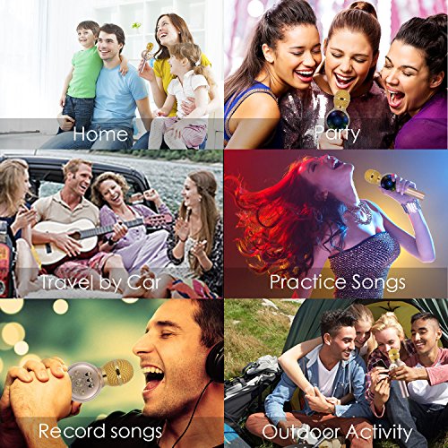 6 Microphone+InThoor+Professional+Bluetooth+Smartphone