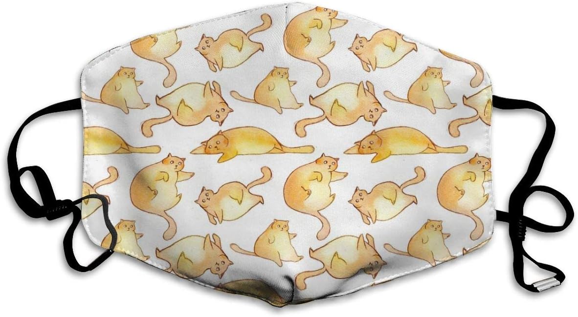 Fat Cats Dust Mask, Reusable Washable Mouth Masks, Adjustable Warm Face Mask Unique Cover Filters Blocking Pollen Pollution Germs