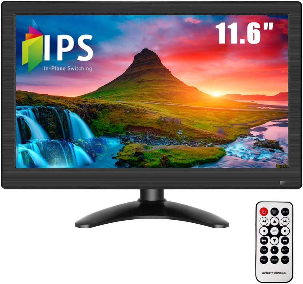 display monitor con bnc