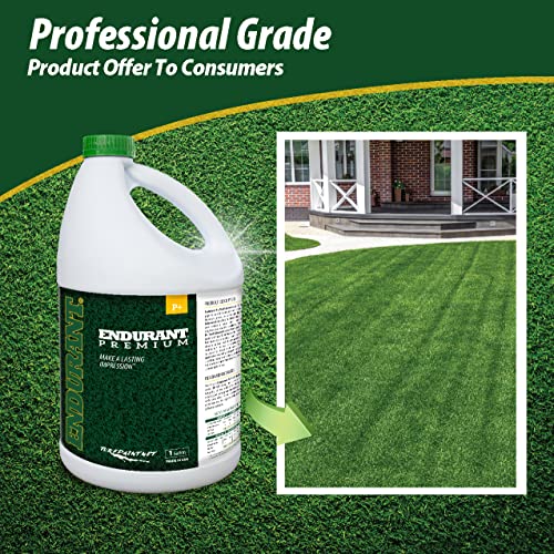 Endurant Green Grass Paint for Lawn and Fairway Treats Dry or Patchy