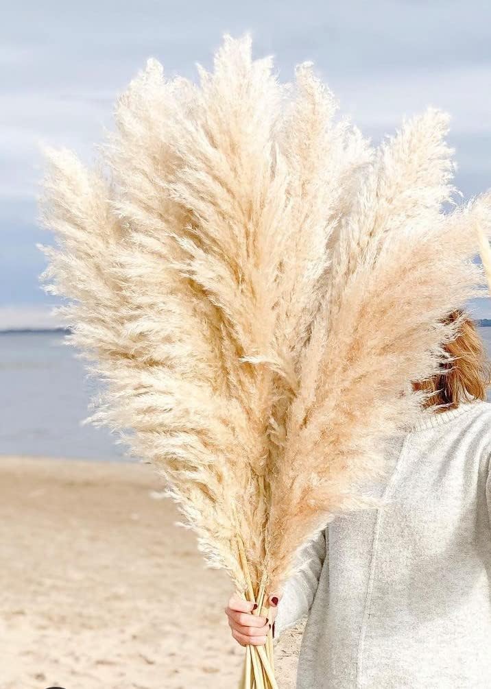 Dried & Preserved Flora - Emir&Odin 40