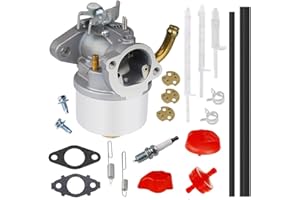 Ferilter 593357 Carburetor for Briggs and Stratton 795485 Snow Blower Engine 798917 Carburetor replace for Briggs and Stratton 794587 791953 791292 Engine Carb.