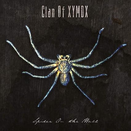 Spider On The Wall Clan Of Xymox Amazon De Musik Clan of xymox, also known as xymox at various parts of their career, are a darkwave/gothic rock band founded in nijmegen, the netherlands, in 1983 by ronny moorings, anke wolbert, and pieter nooten. spider on the wall