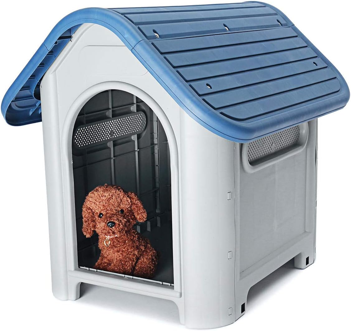 animal shelters with small dogs