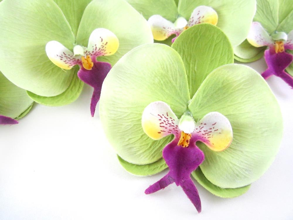50 Green Phalaenopsis Orchid Silk Flower Heads 3 75 Artificial Flowers Heads Fabric Floral Supplies Wholesale Lot For Wedding Flowers Accessories Make Bridal Hair Clips Headbands Dress Silk Flower Arrangements