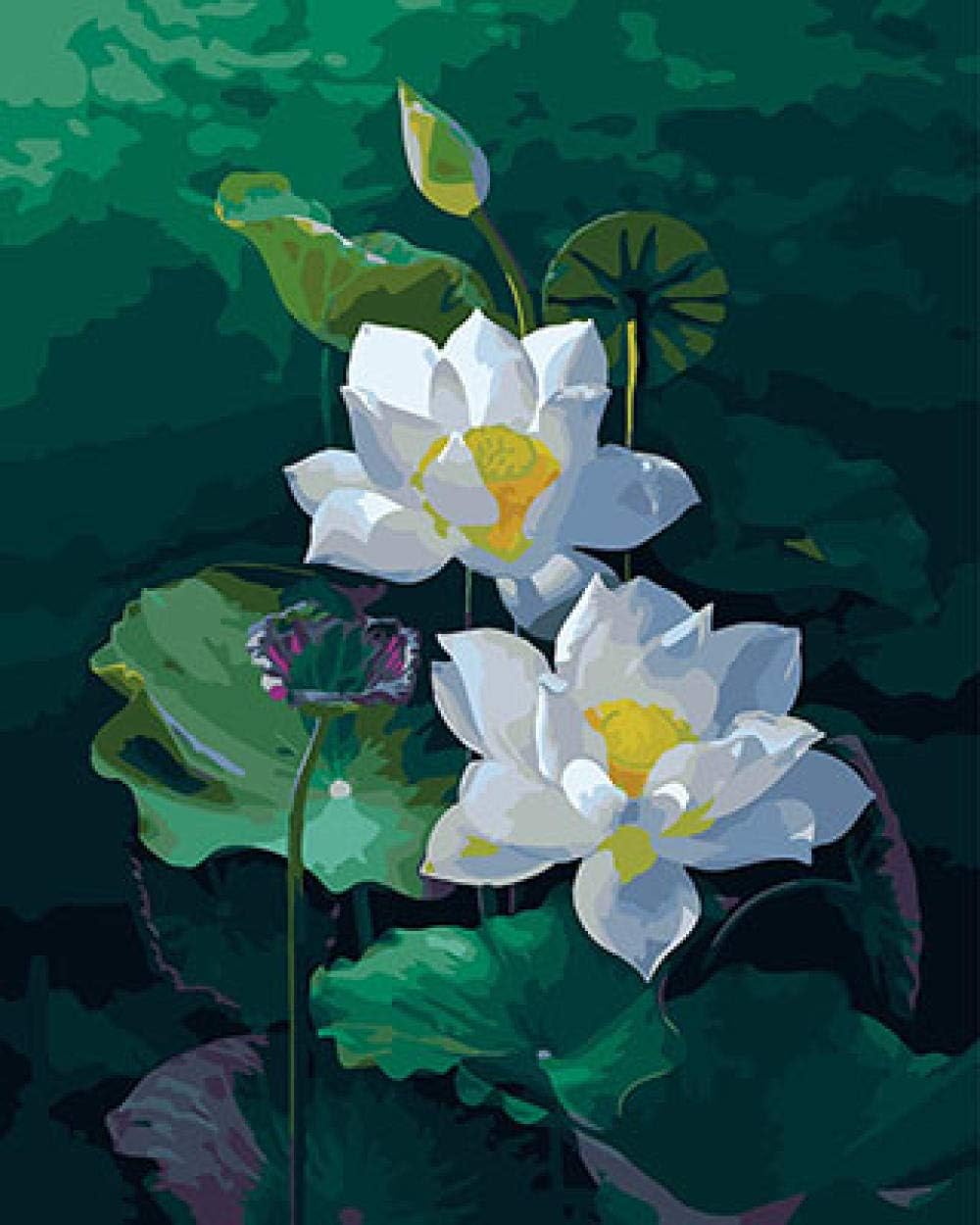 DIY Oil Painting by Numbers Lotus by Numbers Wall Art Home Decor