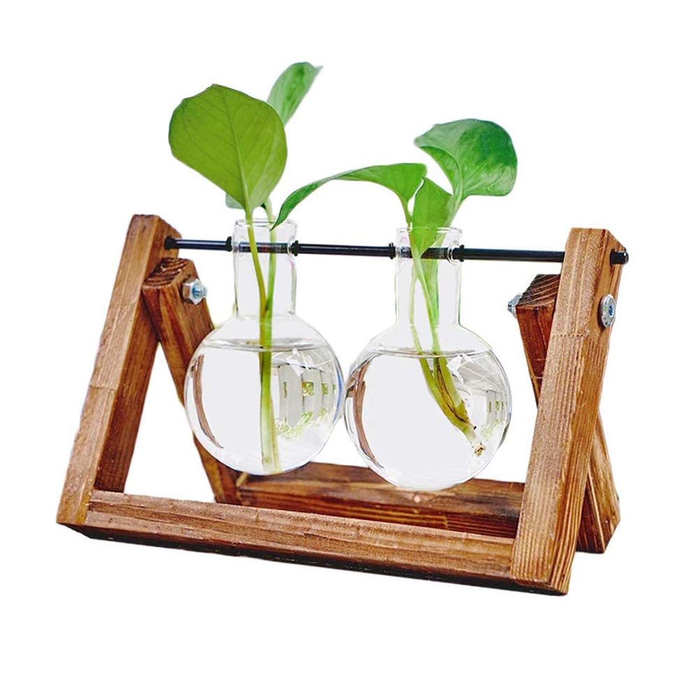 Plant Terrarium Wooden Stand, Desktop Glass Planter Bulb Vase with Retro Solid Wooden Stand and Metal Swivel Holder for Hydroponics Plants Home Garden Office Wedding Decor (2 Bottle)