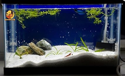 freshwater aquarium sand