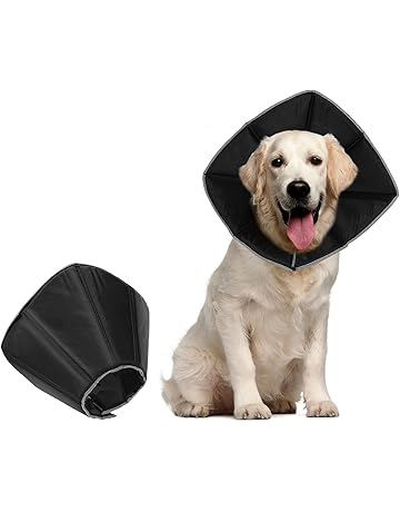 dog protective collar