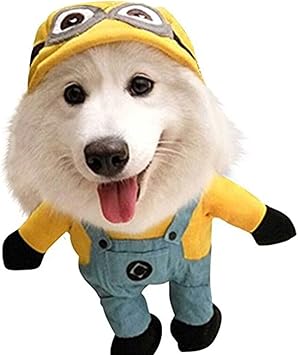 Amazon ハロウィン 変身服 猫用コスプレ コスチューム ペット服 犬 猫用 17種類 変身服 S Xl サイズ Justgreat ミニオン Xl Justgreat コスチューム 通販 Amazon ハロウィン 変身服 猫用コスプレ コスチューム ペット服 犬 猫用 17種類 変身服 S Xl サイズ Justgreat ミニオン Xl Justgreat コスチューム 通販