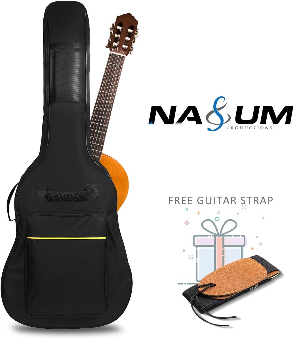 gitarrentasche fender