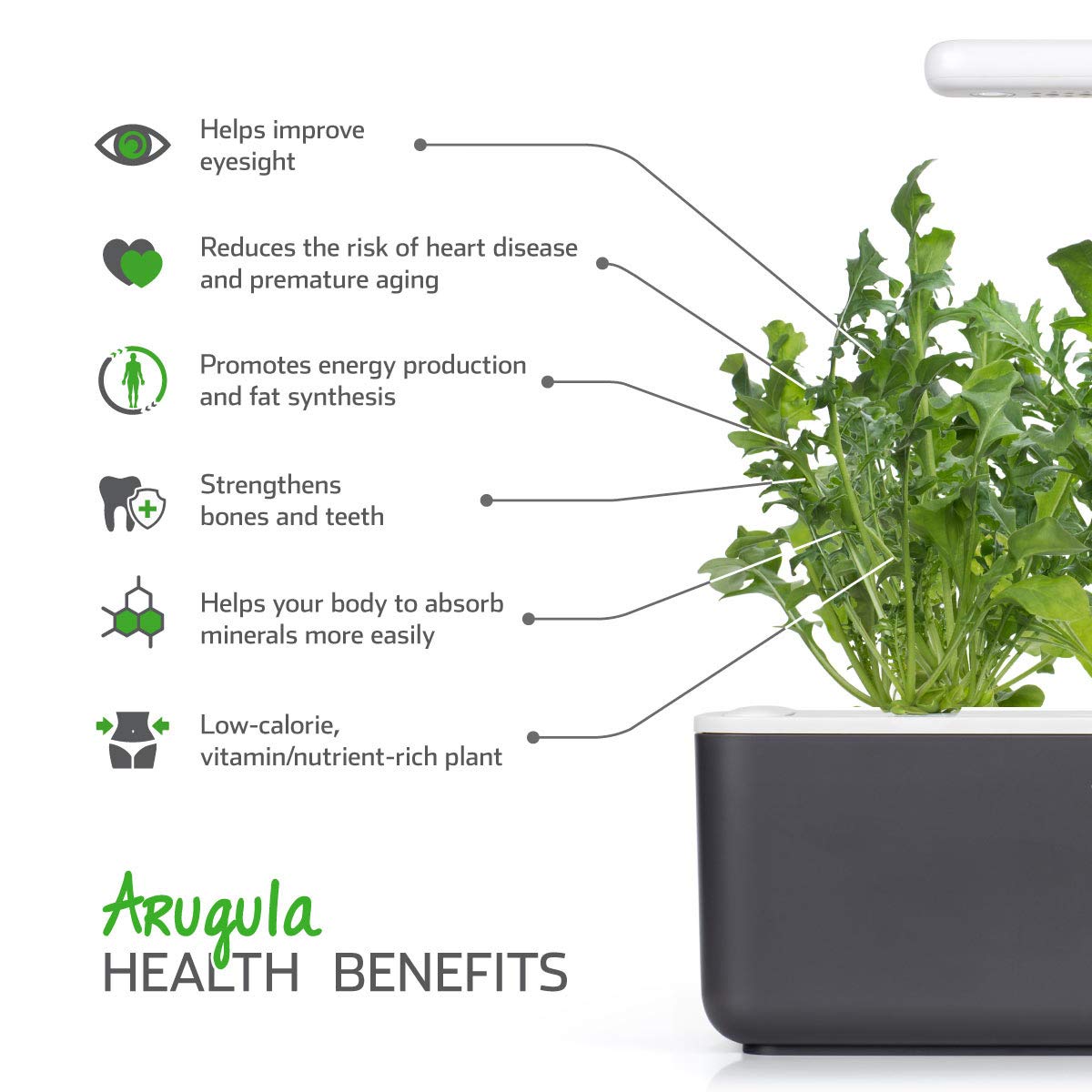 Emsa M5261600 Cápsula de sustrato Click and Grow Rucola, paquete ...