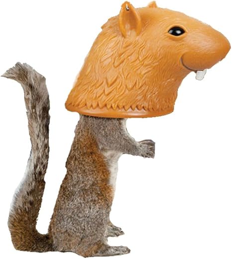 Amazon Com Toy Game Accoutrements Super Big Head Squirrel