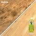 King Pine Concentrated Pine Oil, Multi-Surface Cleaner, Industrial Strength, Gold, 20 fl oz (1)