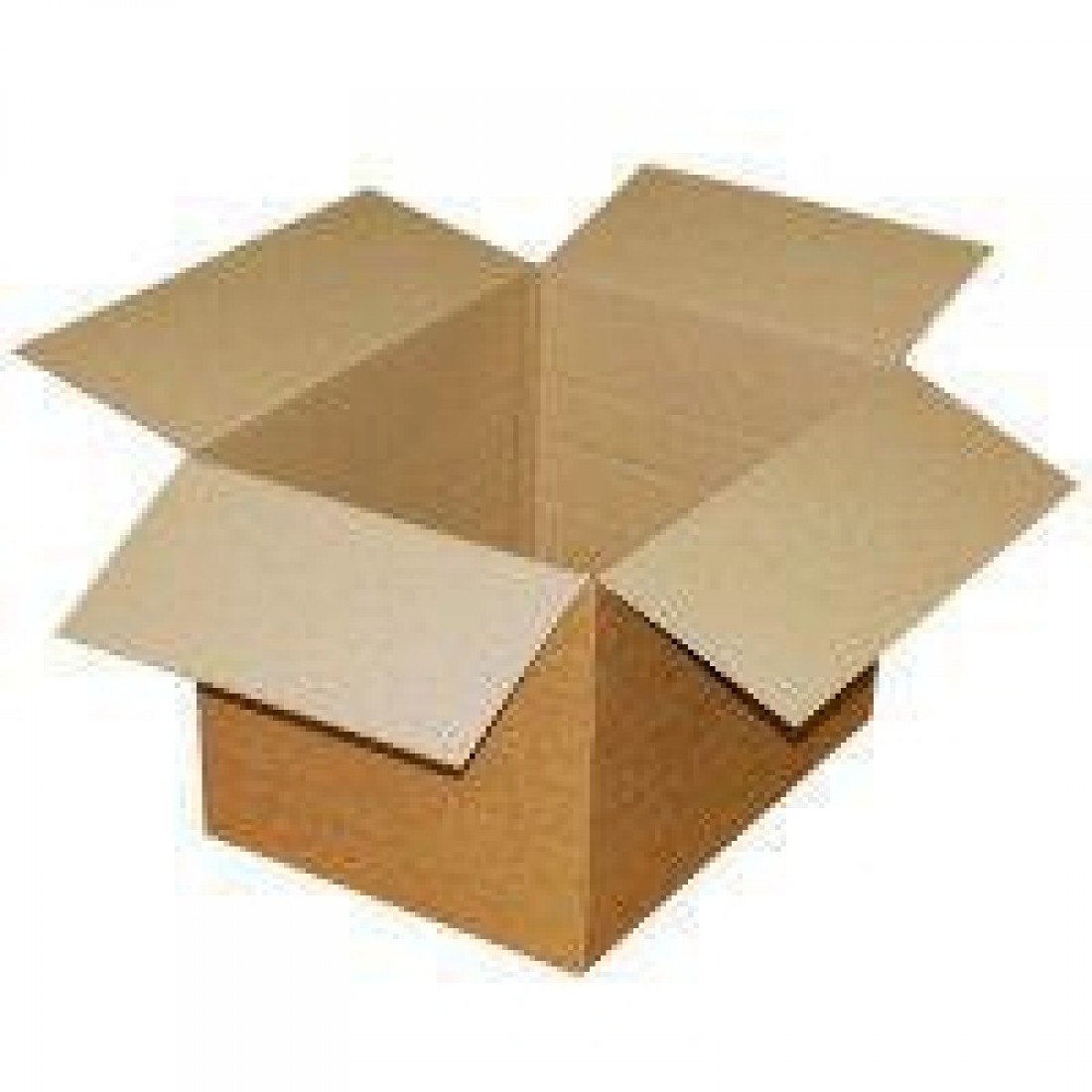 Ambassador 482x305x305mm Single Wall Carton (Pack of 25)