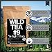 Organic Black Tea From India, Wild Tea #9 Premium Loose Leaf Tea Black Tea (2 ounce)