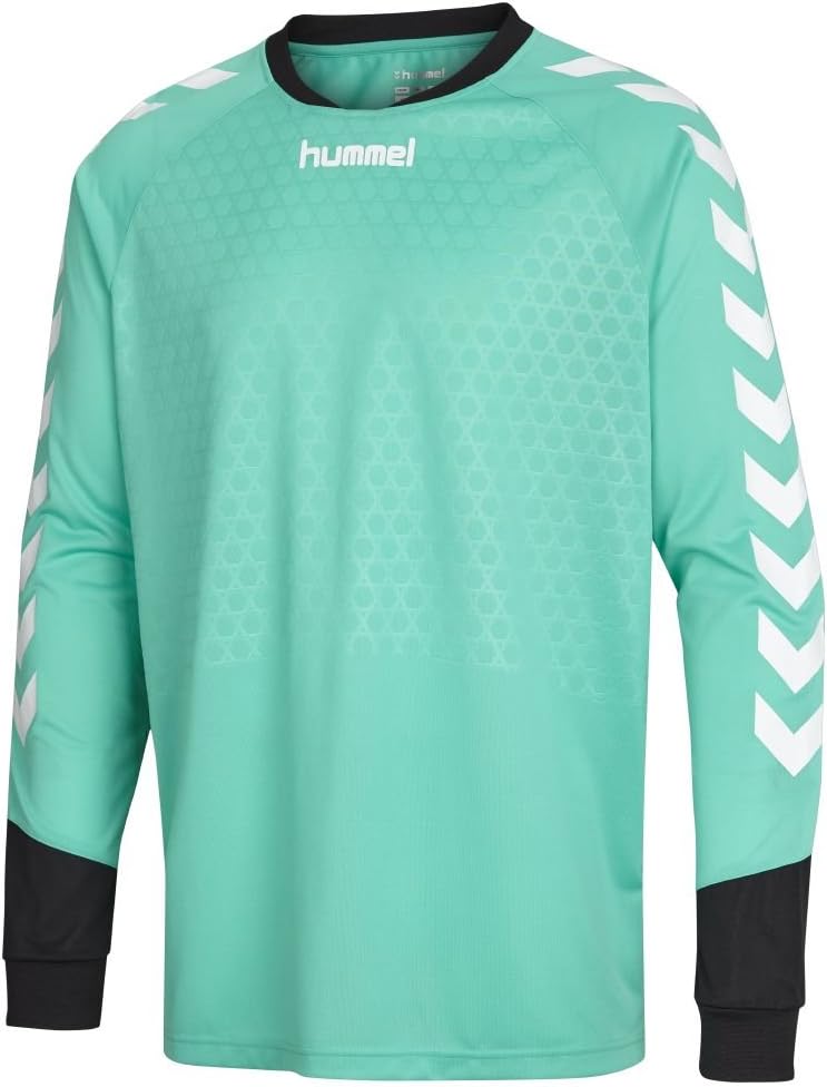 Hummel Sport Hummel Essentials Goalkeeper Jersey, Maroon/Black, Medium