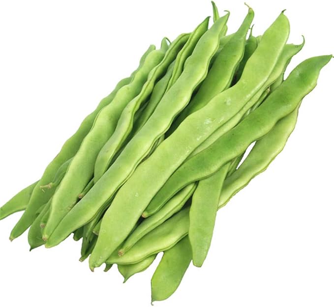Flat Bean 50 Pcs NONGMO Vegetable Seeds Garden & Outdoor