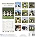 Bernese Mountain Dog Calendar 2017 - Dog Breed Calendars - 2016 - 2017 wall calendars - 16 Month by Avonside