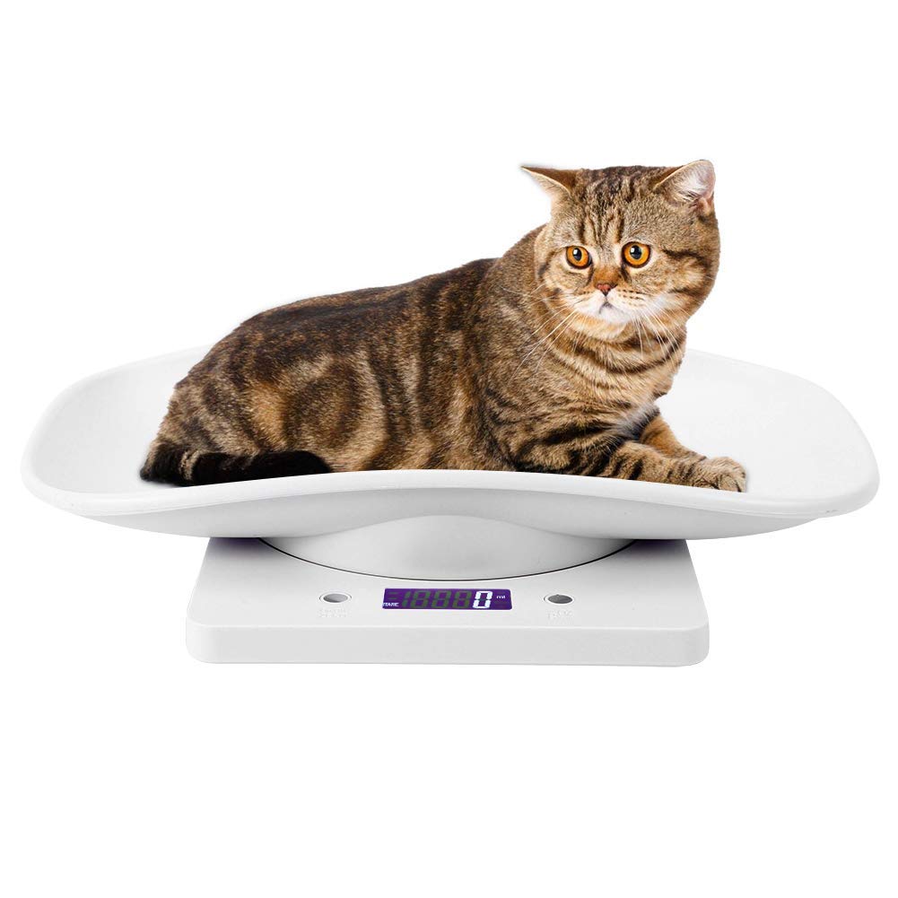 Digital Pet Scale, 10kg/1g Small Animal Scale Puppy Weighing Scale Electronic Kitchen Scale with 4 Weighting Modes(g/ml/oz/lb.oz) for Cat Dog Parrots Hamster
